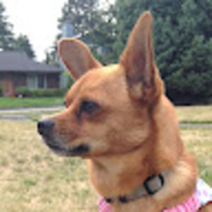 Meet your Posher, Mia